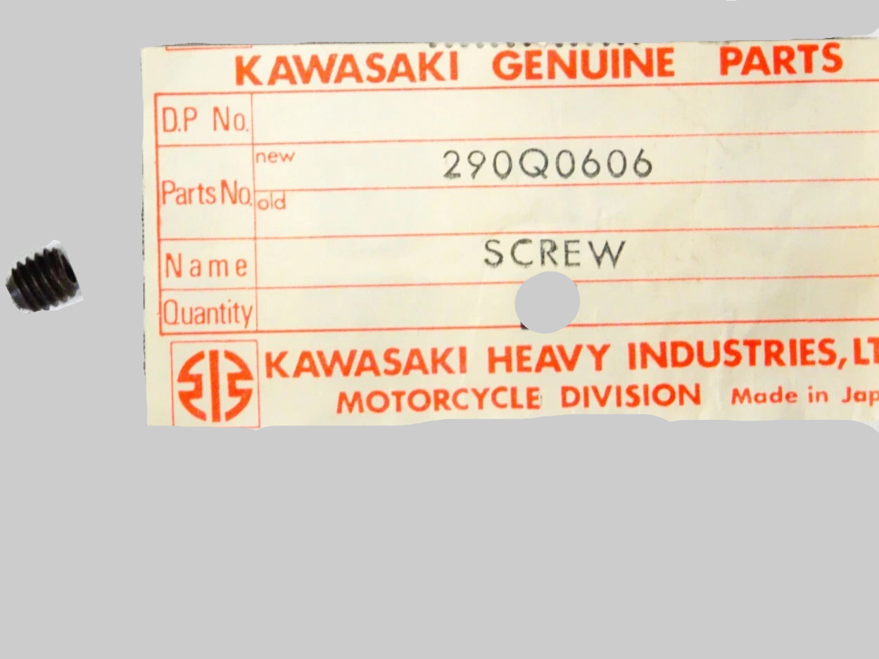 KAWASAKI BN EN ER EX KZ KLE Factory Screw 6x6 290Q0606