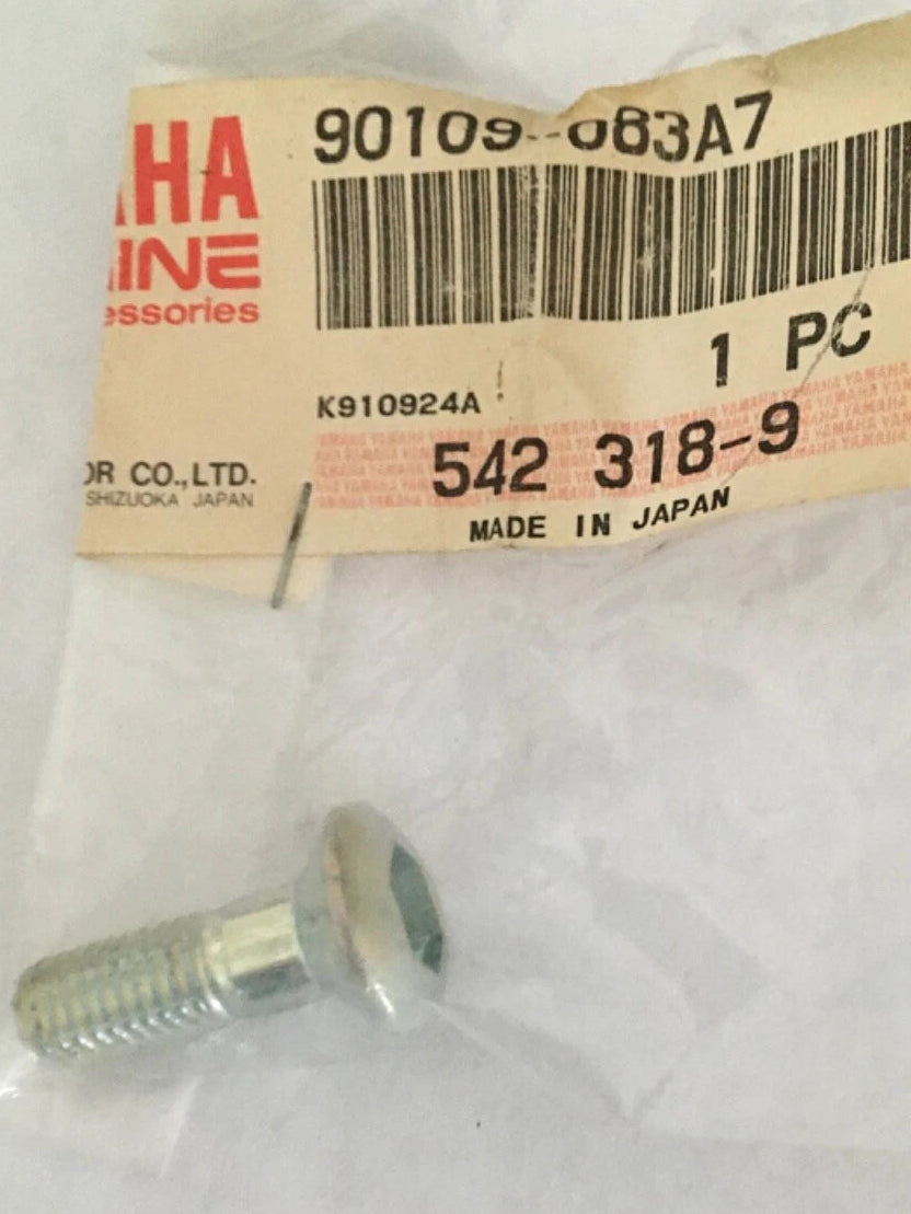 YAMAHA BW200 Factory Front Caliper Bolt 90109-083A7