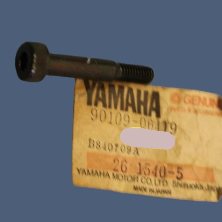 YAMAHA BW SR SRX TT TTR TW XT XV YFM YTM Factory Drain Bolt 90109-06419