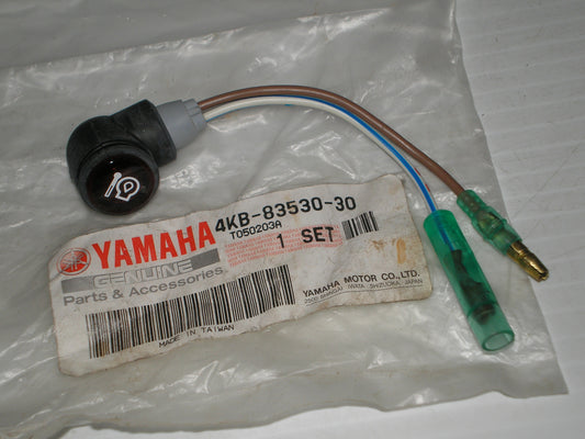 YAMAHA YFM350 YFM400 YFM600 YFS200 Pilot Light Assembly 4KB-83530-30