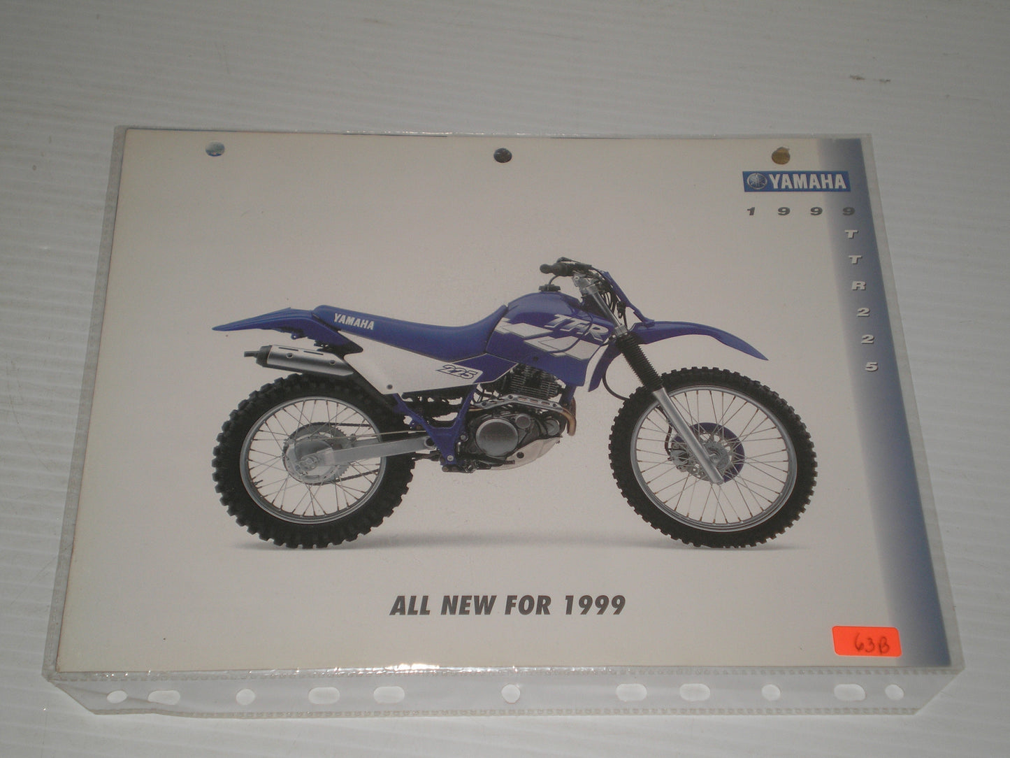 YAMAHA 1999 TTR225 OFF ROAD MOTORCYCLE SAL BROCHURE Y63B