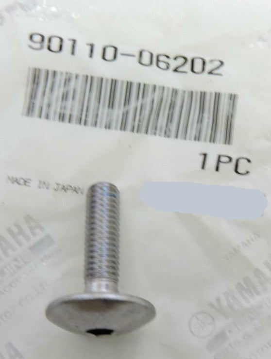 YAMAHA FJ FZ FZR GTS RZ SRX XTZ XV XVS XVZ YFM YSR YZFR Hexagon Socket Head Bolt 90110-06083 / 90110-06202