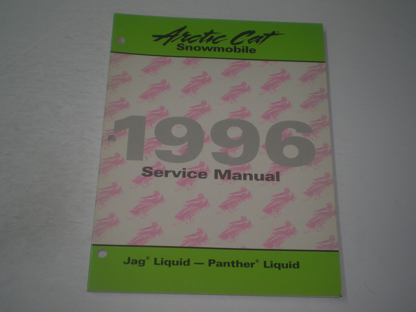 ARCTIC CAT Jag Liquid & Panther Liquid Service Manual 2255-307 #S147