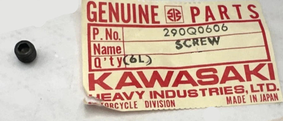 KAWASAKI BN EN ER EX KZ KLE  Factory Screw 6x6  290Q0606