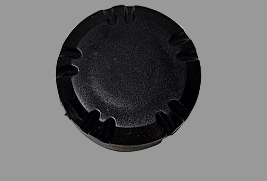 0YAMAHA  FJ600  XJ900  BOLT CAP  31A-23469-02