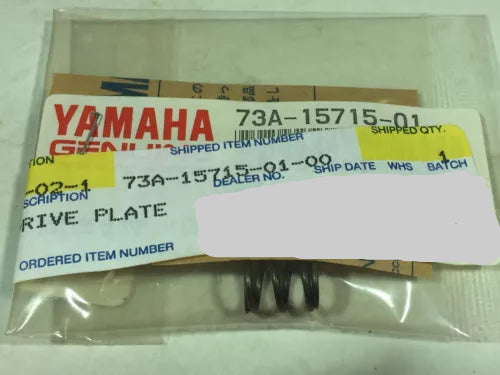 YAMAHA Factory Hardware - Screws, Bolts, Washers, etc. 73A-15715-01