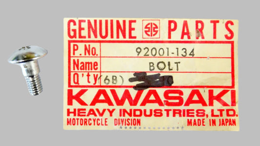 KAWASAKI ZX900  Gp 900r  ZX10  GPz  1000   screw  92001-134