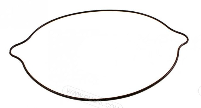 SUZUKI RM250 RMX250 Clutch Cover Outer O'Ring 11484-28C10