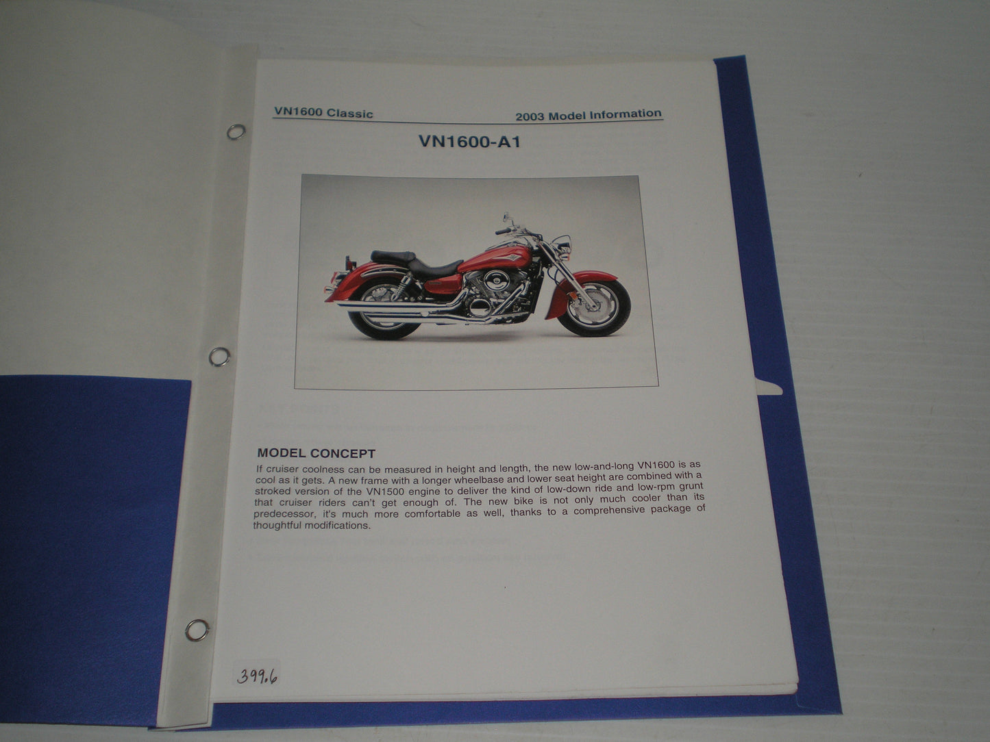 KAWASAKI VN1600  2003  Dealer's Information #399.6