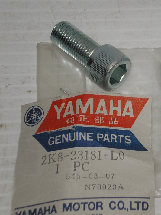 YAMAHA YZ250 YZ400  Front Fork Allan Socket Head Bolt  2K8-23181-L0