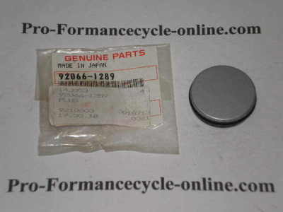 KAWASAKI KLF400 KVF400 KVF650 KVF700 KVF750 VN1500 Plug