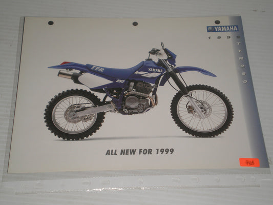 YAMAHA 1999 TTR250 OFFU ROAD  MOTORCYCLE SAL BROCHURE 44B