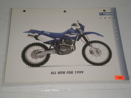 YAMAHA 1999 TTR250 OFFU ROAD MOTORCYCLE SAL BROCHURE 44B