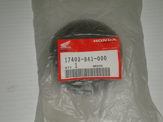 HONDA EF1500 EG1500 F400 F500 FR500 WT20 Air Filter 17403-841-000
