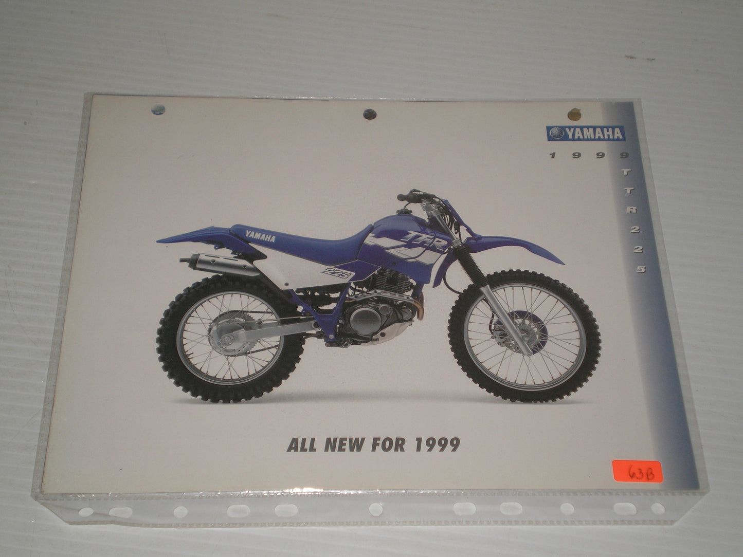 YAMAHA 1999  TTR225 OFF ROAD  MOTORCYCLE SAL BROCHURE Y63B