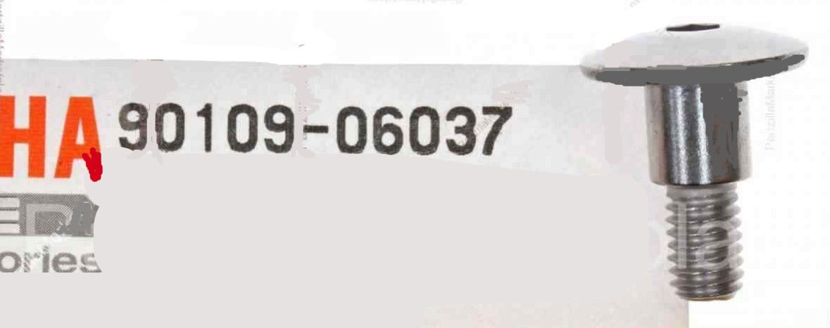 YAMAHA FJR13 FJR1300 FZ09 MT09  Factory Side Cover / Cowling Retaining Bolt 90109-06037