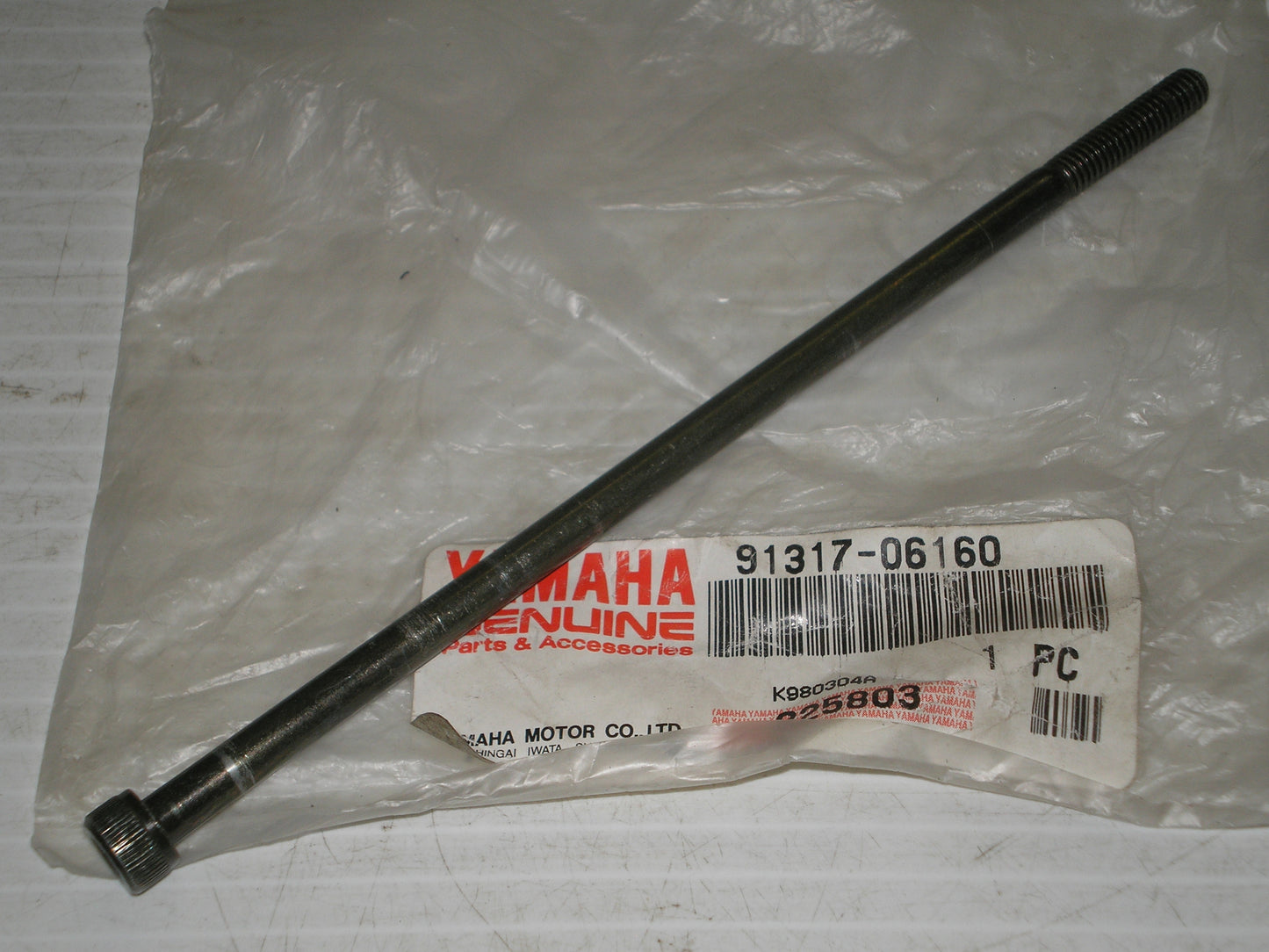 YAMAHA YFB250 YFM25 YFM250  Engine Case Socket Head Bolt 91317-06160