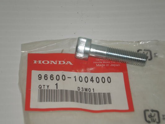 HONDA VTX1300 VTX1800 Grab Rail Fitting Allen Bolt 96600-10040
